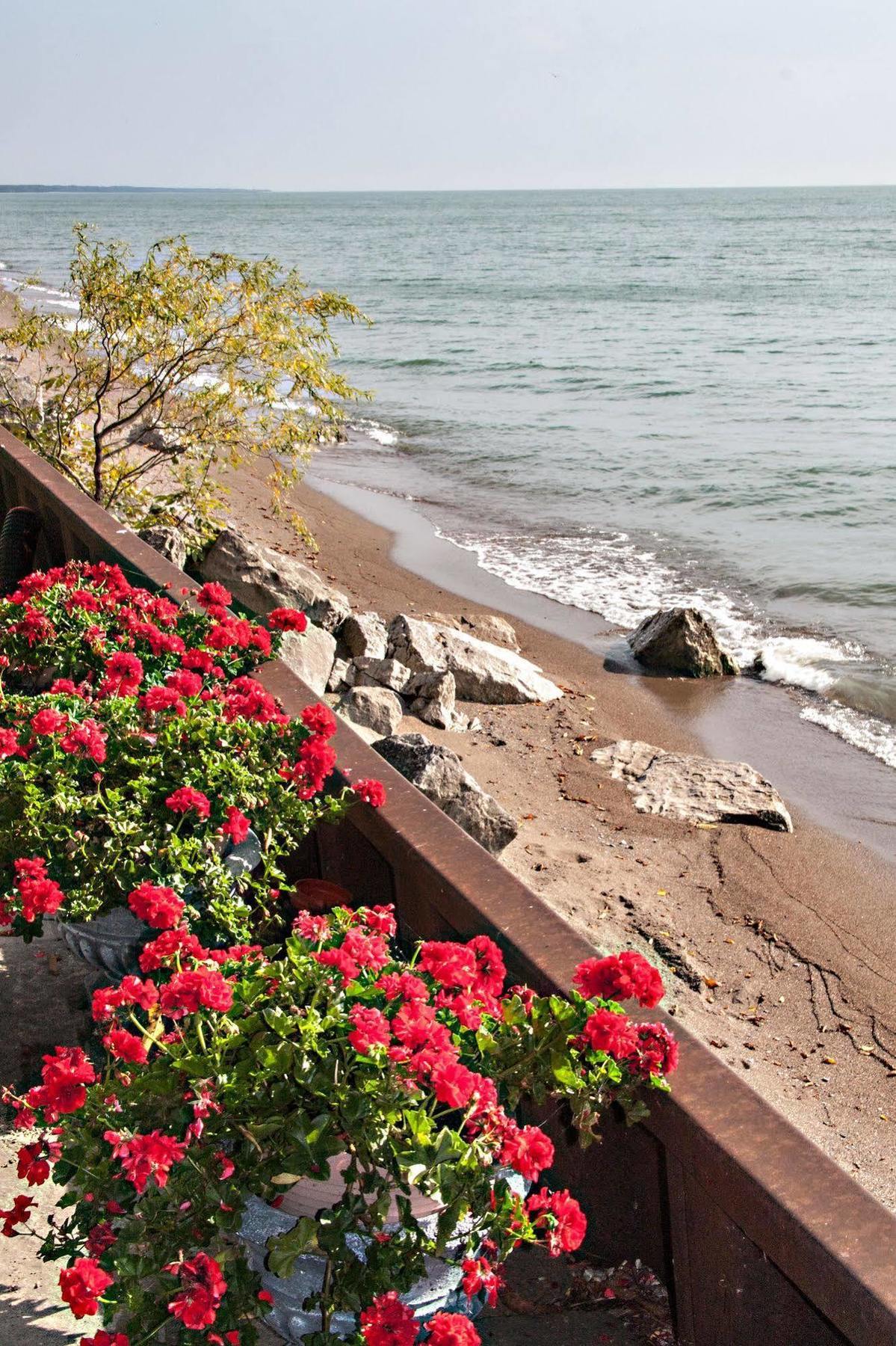 Point Pelee Lakeshore B&B Лимингтон Экстерьер фото